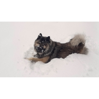 23. Zrnjanowitsch Christine - Winterspass