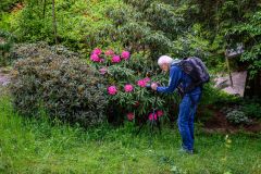 Dieter bei der Arbeit