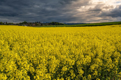 "Gewitterfront vor dem Traunstein" von Florian Hemetsberger