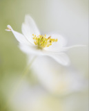 "Zerbrechlich" von Walter Zemlicka