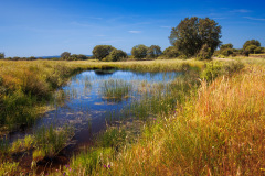 Gross-Extremadura_2025-129