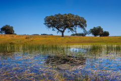 Gross-Extremadura_2025-157