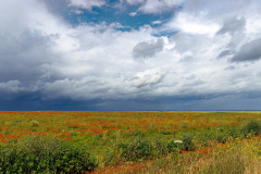 Gross-Extremadura_2025-229