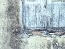 ZW_20251231_MG_7134-3