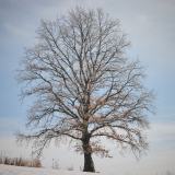 ZW_20260125_MG_7491