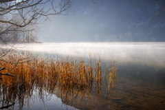 Nebelstimmung am winterlichen Hallstättersee