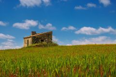 Landwirtschaftliches Objekt in der Extremadura