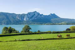 Mondsee