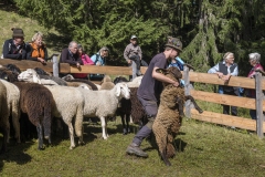 Goisern-Huetteneck-Lamplmusterung-Franke