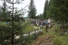 Lampoemusterung-Iglmoos-Pfarrhhofer