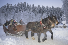 Pferdeschlittenfahrt-Gosau-Hubner