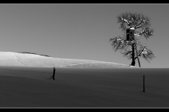 Am Horizont