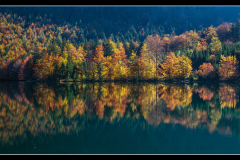 Herbst