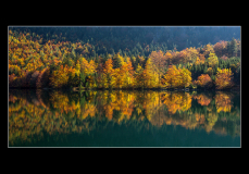 HUTFLESZ-HERBERT_Herbst