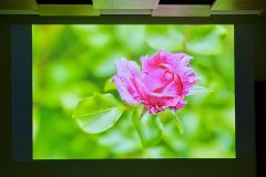 ZW_20260923_IMG_1062