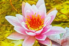 ZW_20260923_IMG_1088