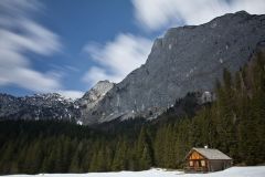 Zimitzalm