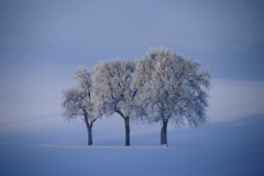 Winterlandschaft in Österreich