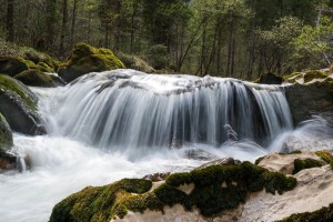 Waldbach