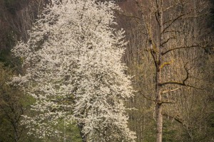 Leben und Tod