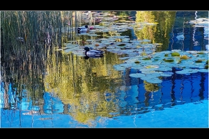 "Monet"