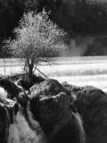 HUTFLESZ-Christine-4
