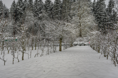 OSOGO Ohlsdorf