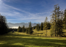 Gross-IMG_3052