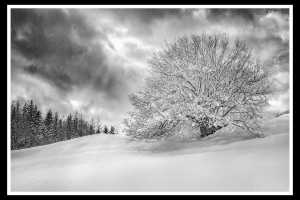 Winterstimmung