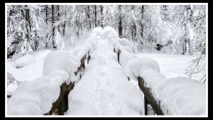 Spuren im Schnee