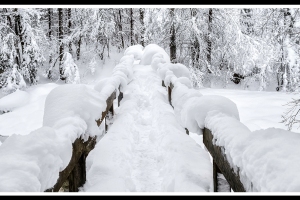 Spuren im Schnee