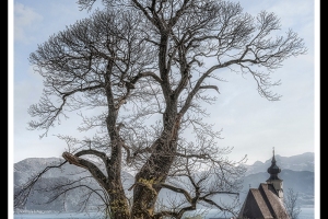 Seefeld am Attersee