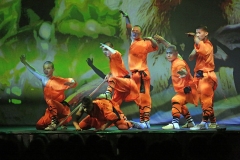Shaolin03