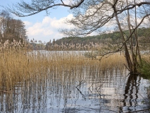 Verdeckter Blick