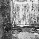 ZW_20251231_MG_7134-6